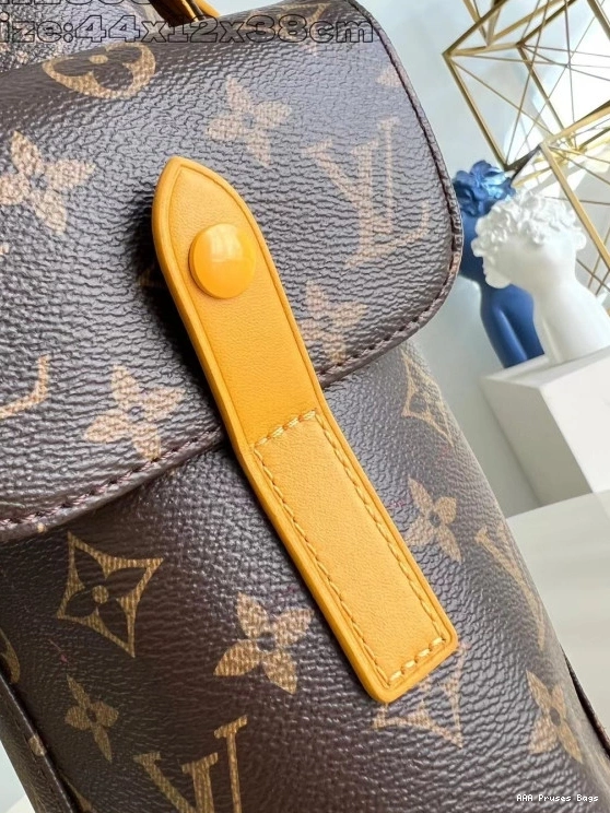 AAA Pruses Bags Louis Vuitton Backpack MM-38*44*12.5CM Christopher 0811